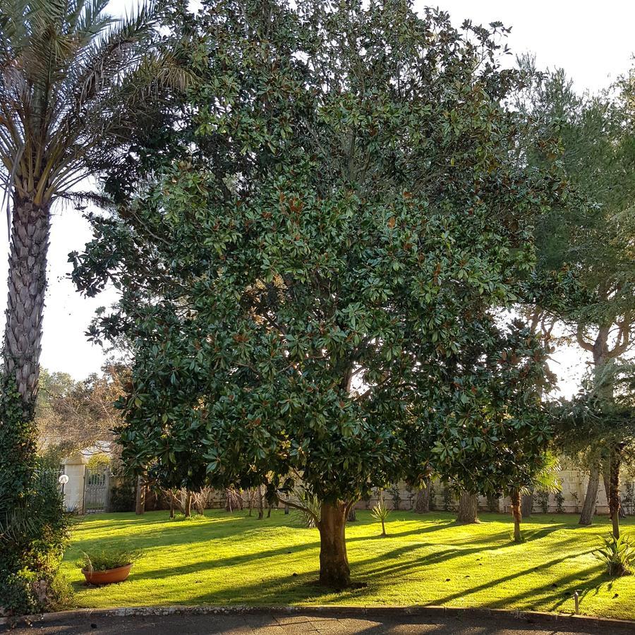 גלאטינה Villa Edda Heated Pool מראה חיצוני תמונה